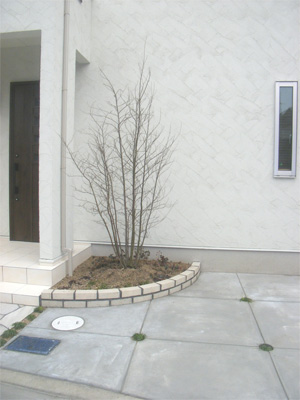 M1様邸　玄関横の植木